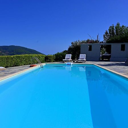 Danai Villa スコペロス エクステリア 写真