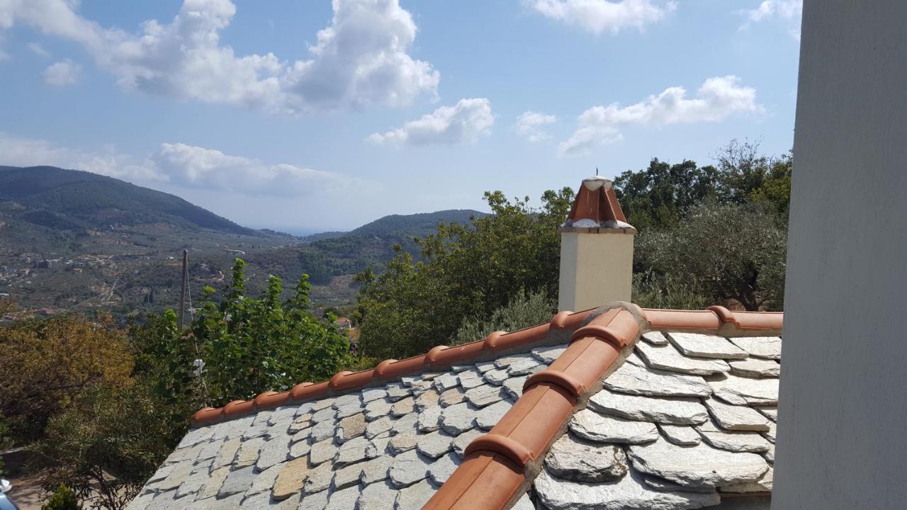 Danai Villa スコペロス エクステリア 写真