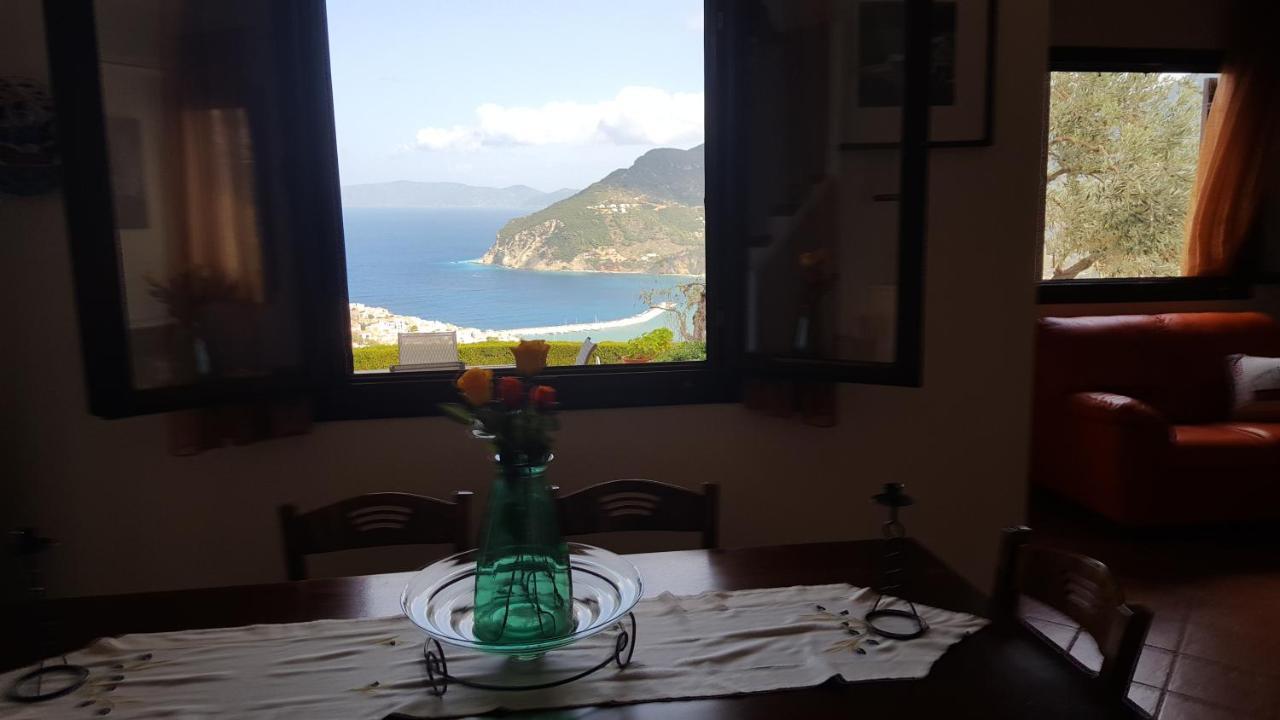 Danai Villa スコペロス エクステリア 写真